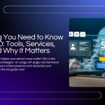 Everything You Need to Know About SEO